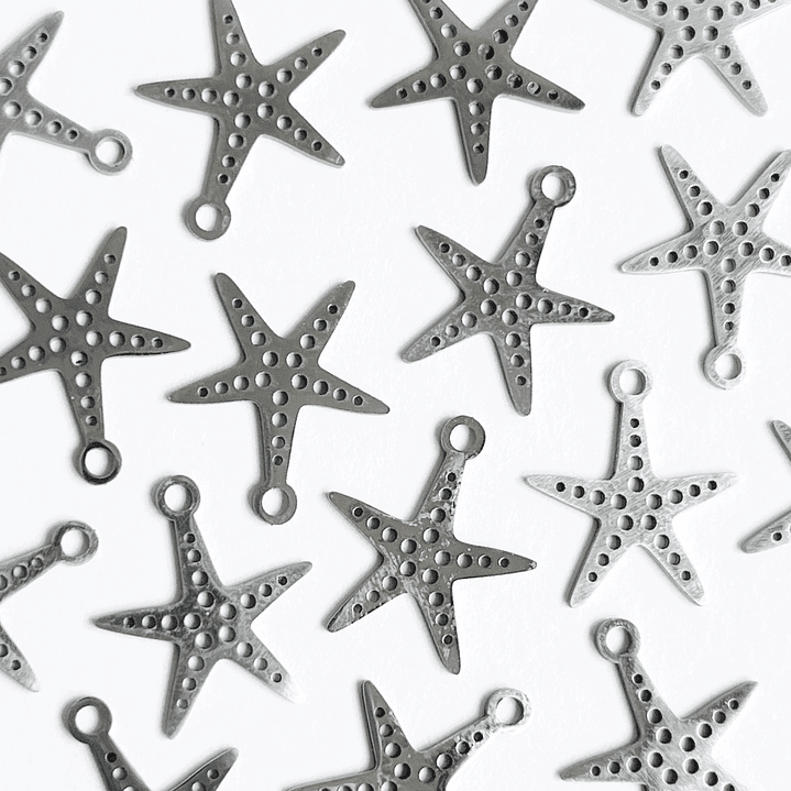 DIJE ✦ ESTRELLA DE MAR EN ACERO 1