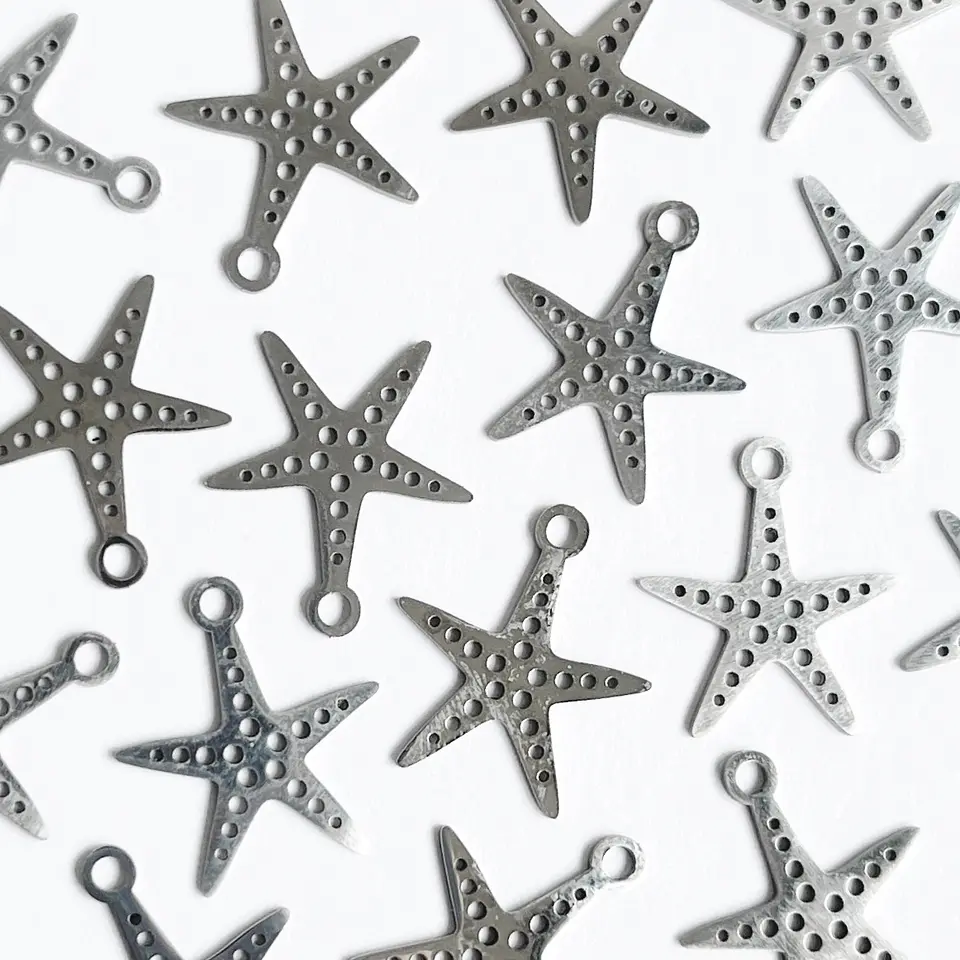 DIJE ✦ ESTRELLA DE MAR EN ACERO 1