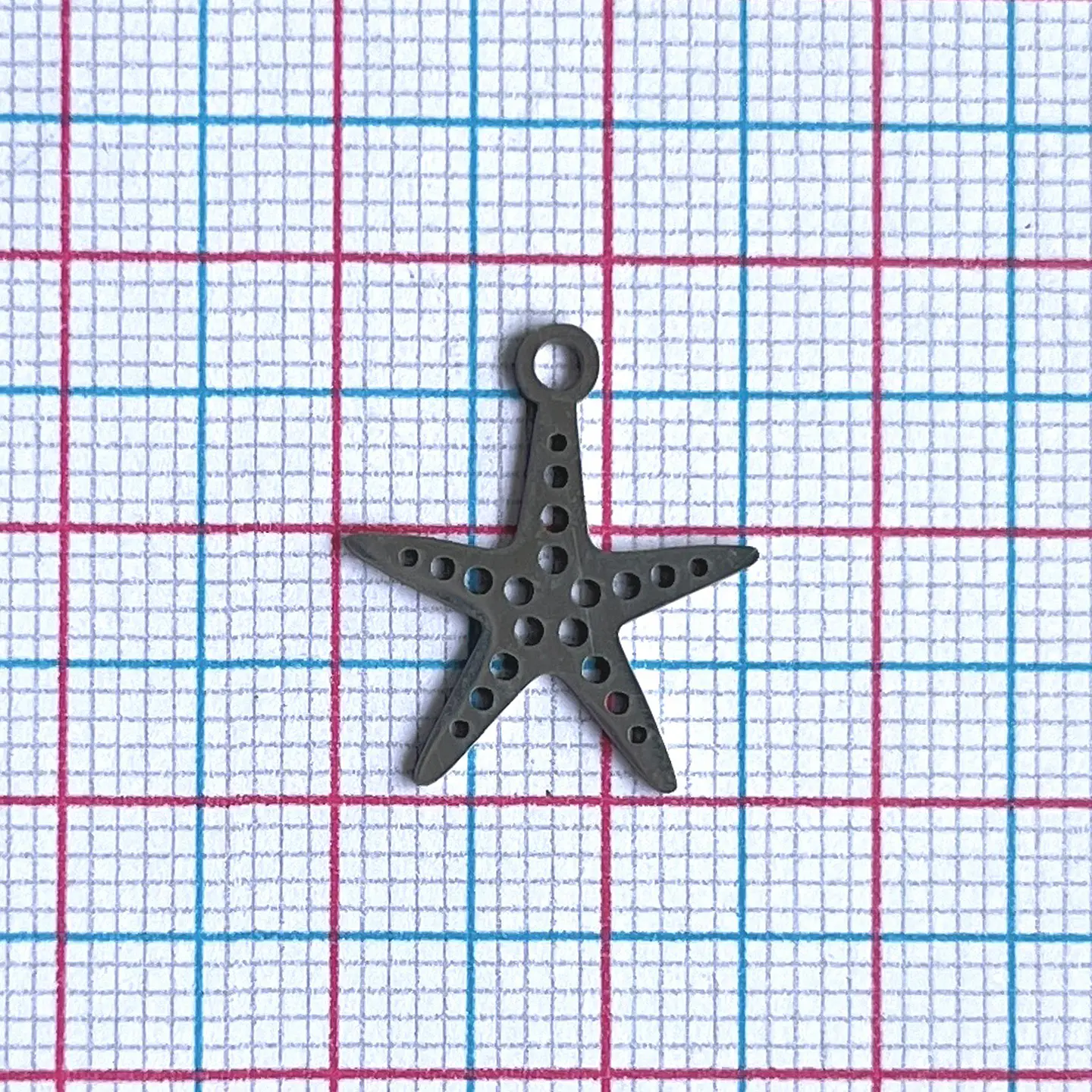 DIJE ✦ ESTRELLA DE MAR EN ACERO 2