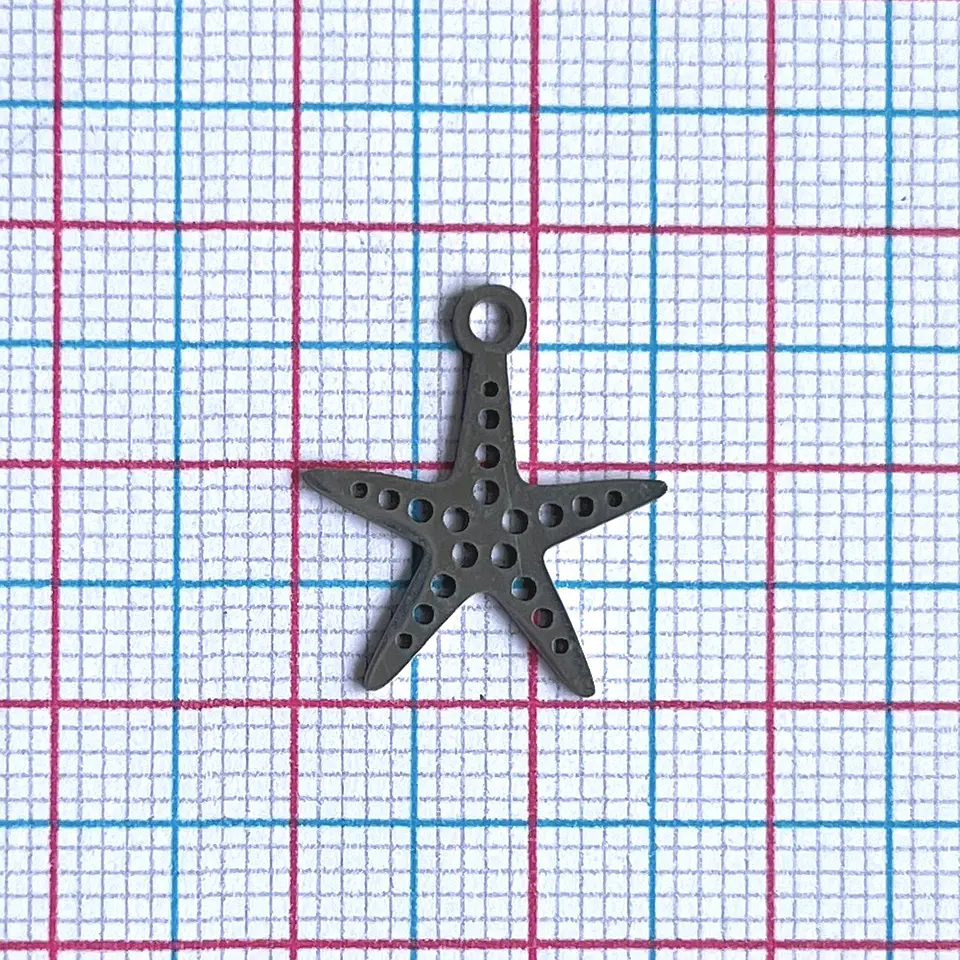 DIJE ✦ ESTRELLA DE MAR EN ACERO 2