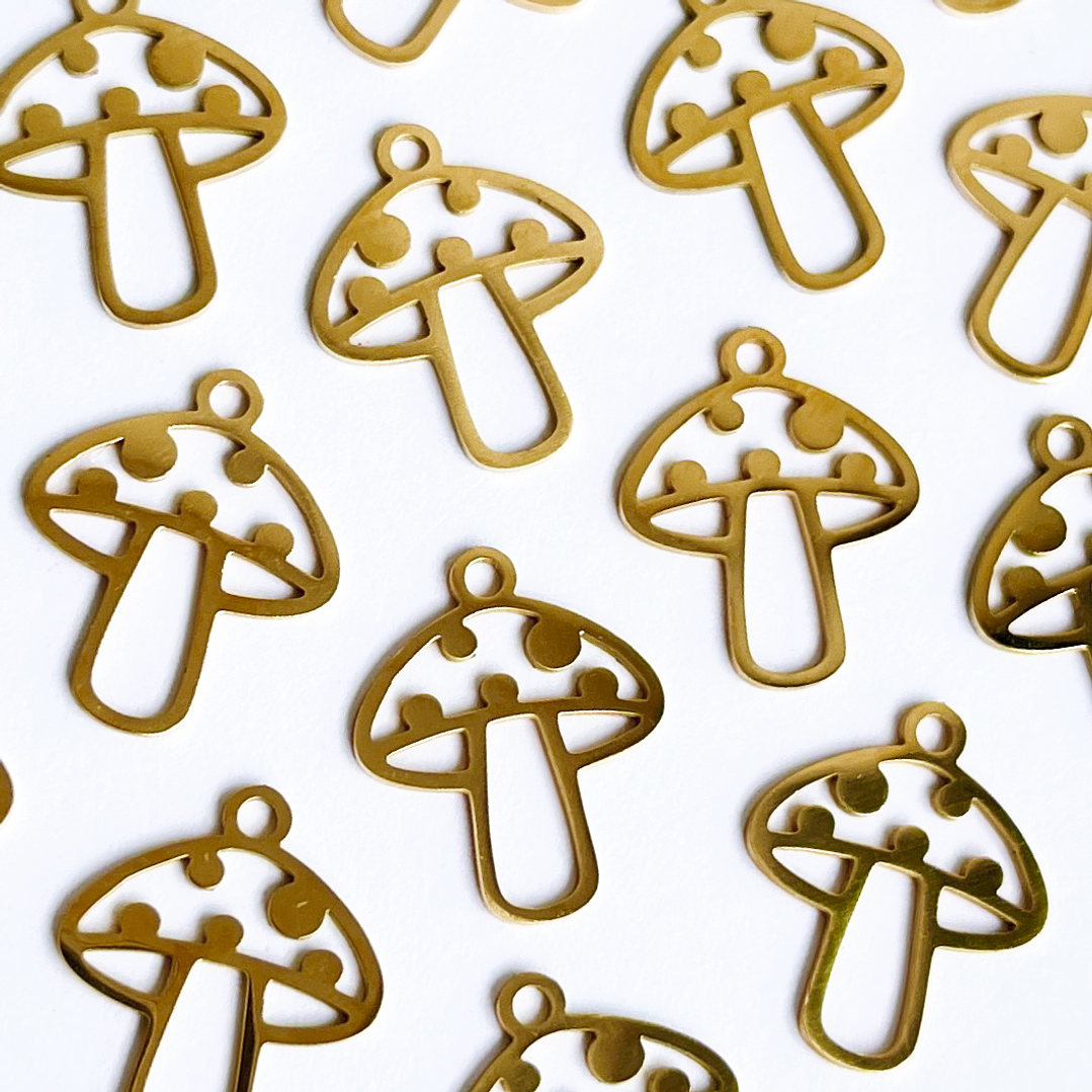 DIJE ✦ HONGO ACERO 1