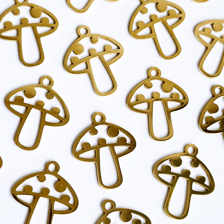 DIJE ✦ HONGO ACERO 1