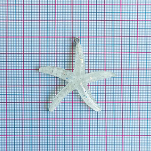 DIJE ✦ ESTRELLA DE MAR ACRILICA