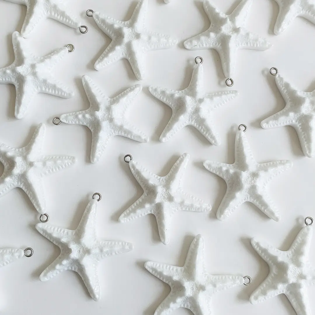 DIJE ✦ ESTRELLA DE MAR PLASTICA 1