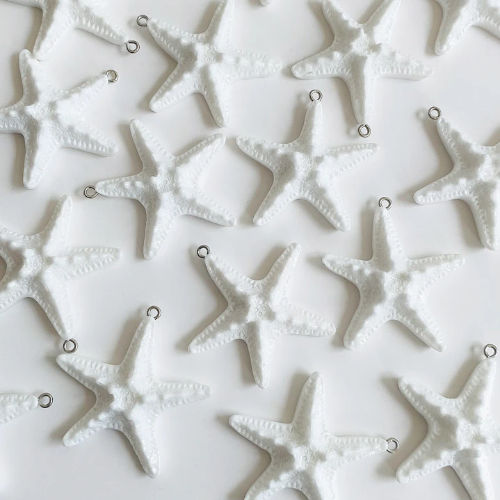 DIJE ✦ ESTRELLA DE MAR PLASTICA 1