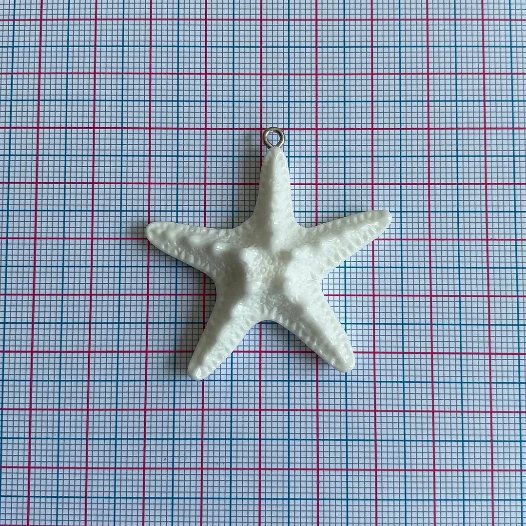 DIJE ✦ ESTRELLA DE MAR PLASTICA 2