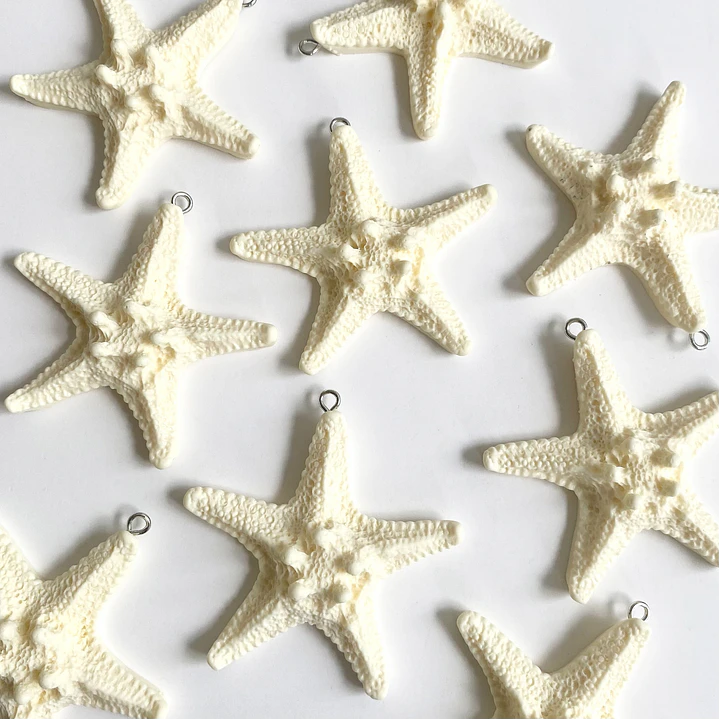 DIJE ✦ ESTRELLA DE MAR PLASTICA 1