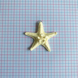 DIJE ✦ ESTRELLA DE MAR PLASTICA
