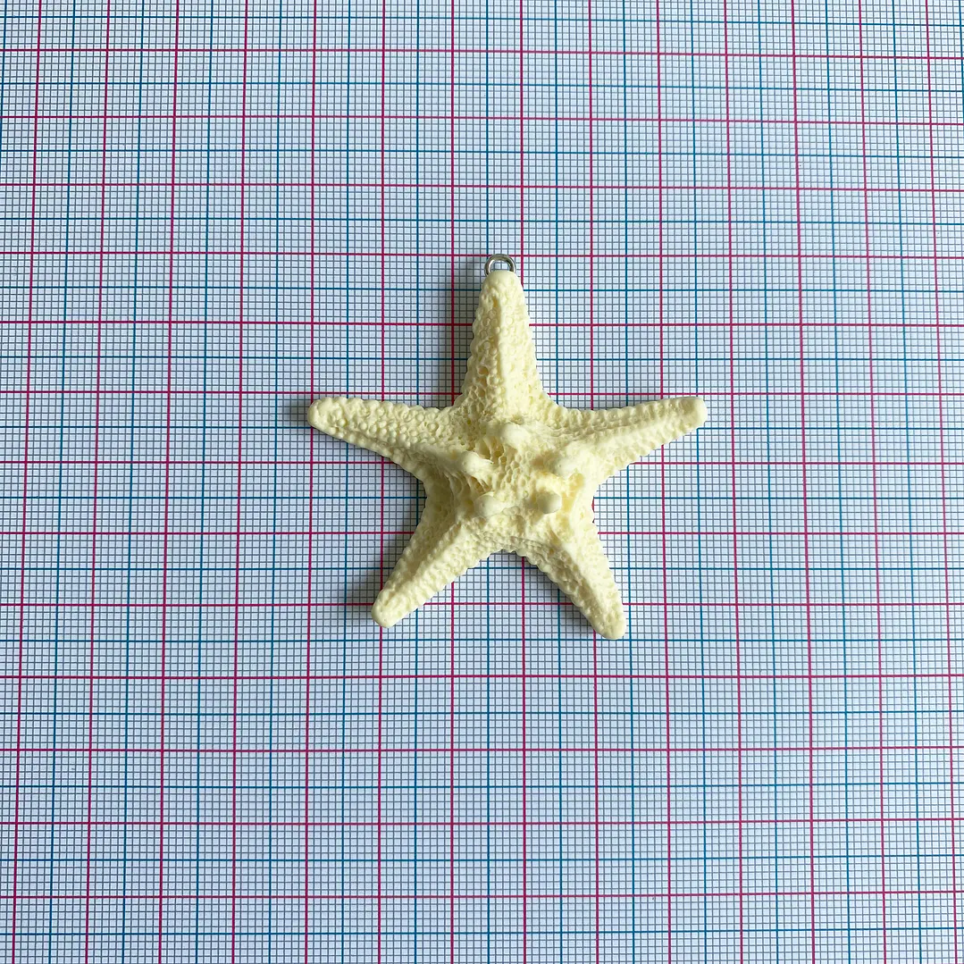 DIJE ✦ ESTRELLA DE MAR PLASTICA 2