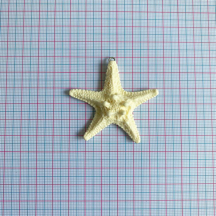 DIJE ✦ ESTRELLA DE MAR PLASTICA 2