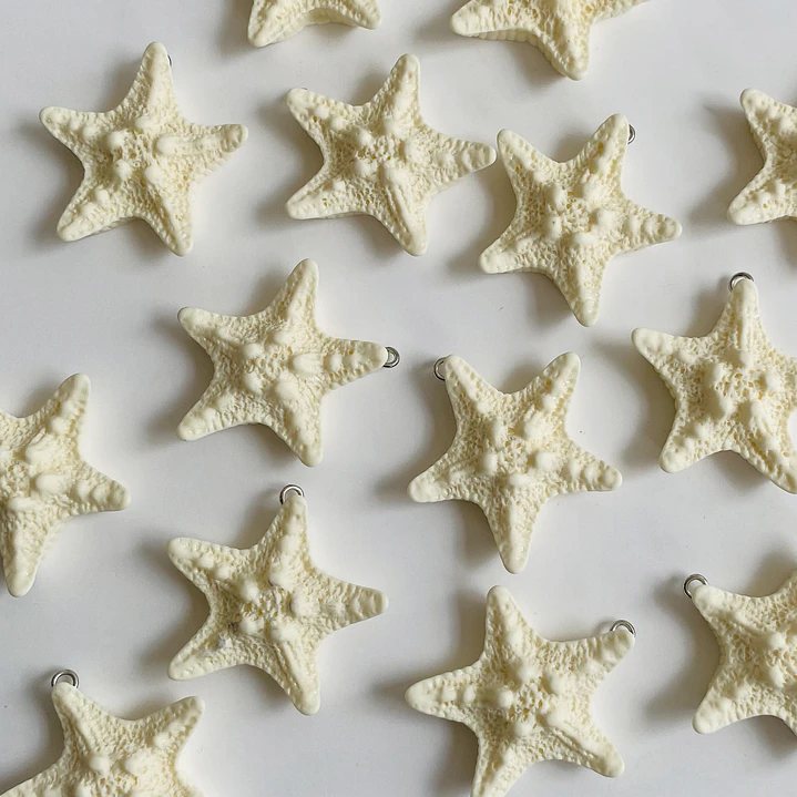 DIJE ✦ ESTRELLA DE MAR PLASTICA 1