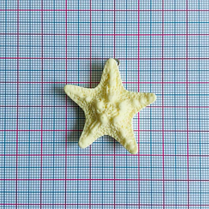 DIJE ✦ ESTRELLA DE MAR PLASTICA