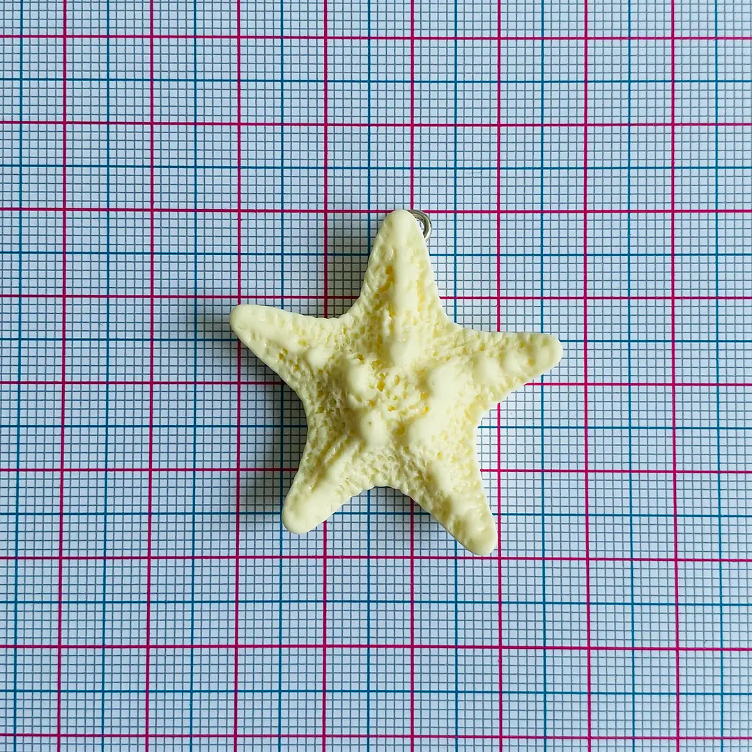 DIJE ✦ ESTRELLA DE MAR PLASTICA 2