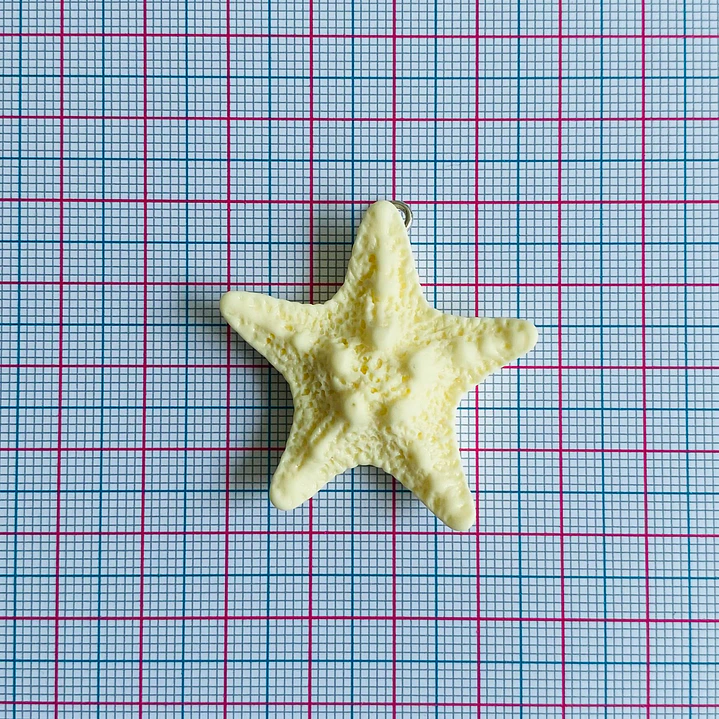 DIJE ✦ ESTRELLA DE MAR PLASTICA 2