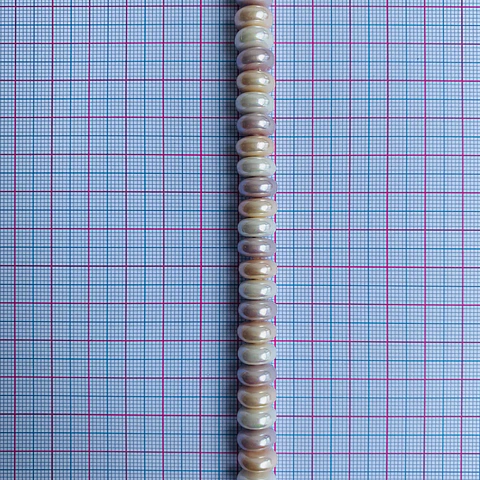 PERLA ✦ SHELL DONA 5*10 MM