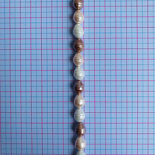 PERLA ✦ SHELL TROMPO 10*13 MM