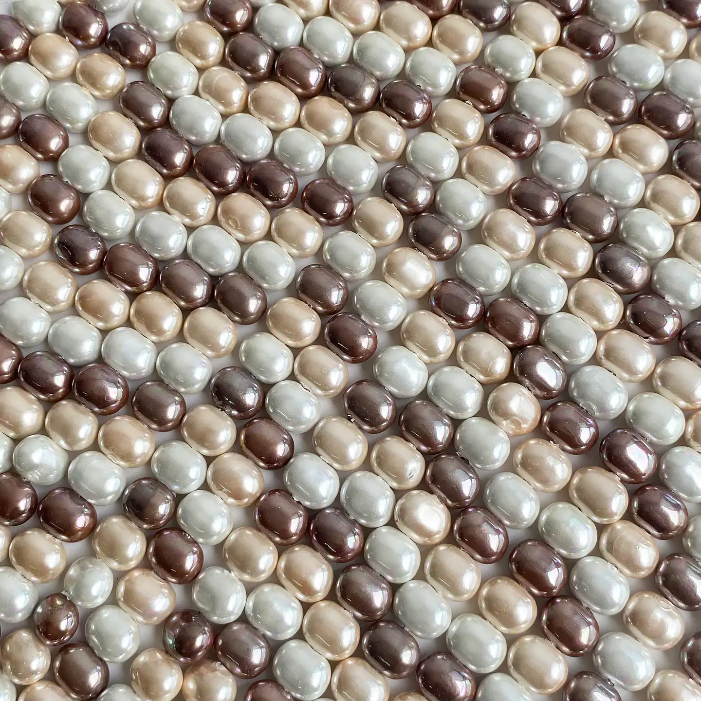 PERLA ✦ SHELL OVALO 7*9 MM 1