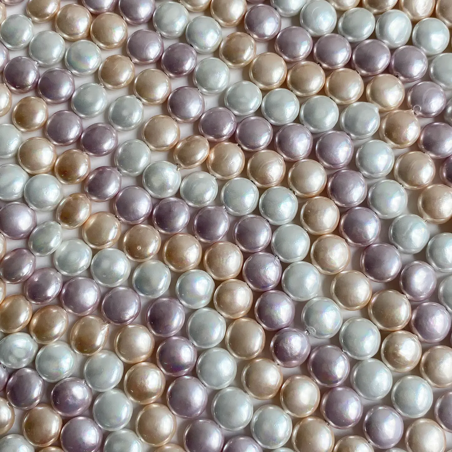PERLA ✦ SHELL PASTILLA 10 MM 1
