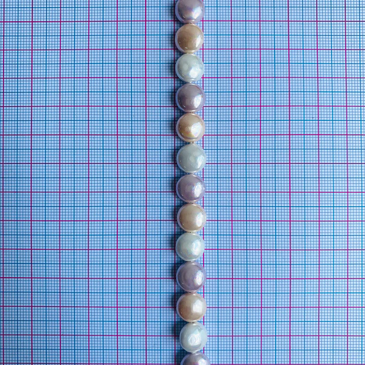 PERLA ✦ SHELL PASTILLA 10 MM 2