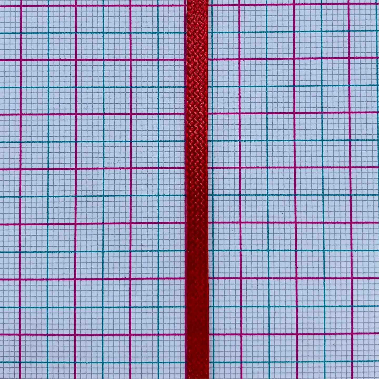 Cordón Víbora Plano • 4 mm 2