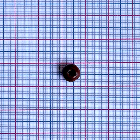 Bola miel • Madera • 6x7 mm