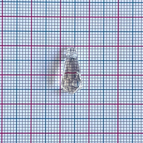 Dije Péndulo de Cristal • Acrílico • 8x16 mm