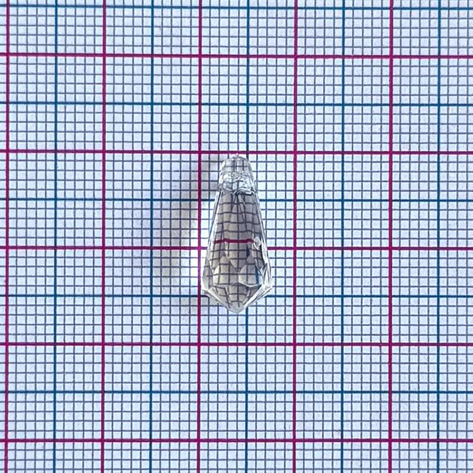 Dije Péndulo de Cristal • Acrílico • 8x16 mm 2