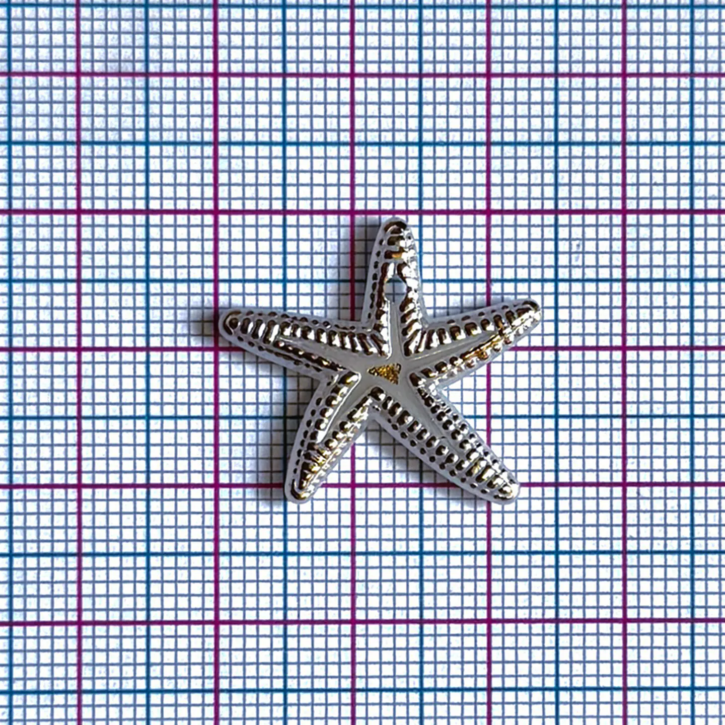 Dije de Estrella de Mar • Plástica • 24x22 mm 2