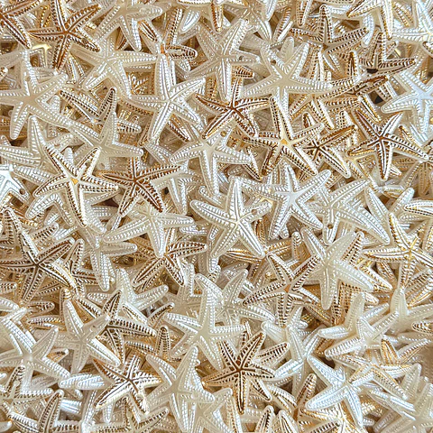 Dije de Estrella de Mar • Plástica • 24x22 mm