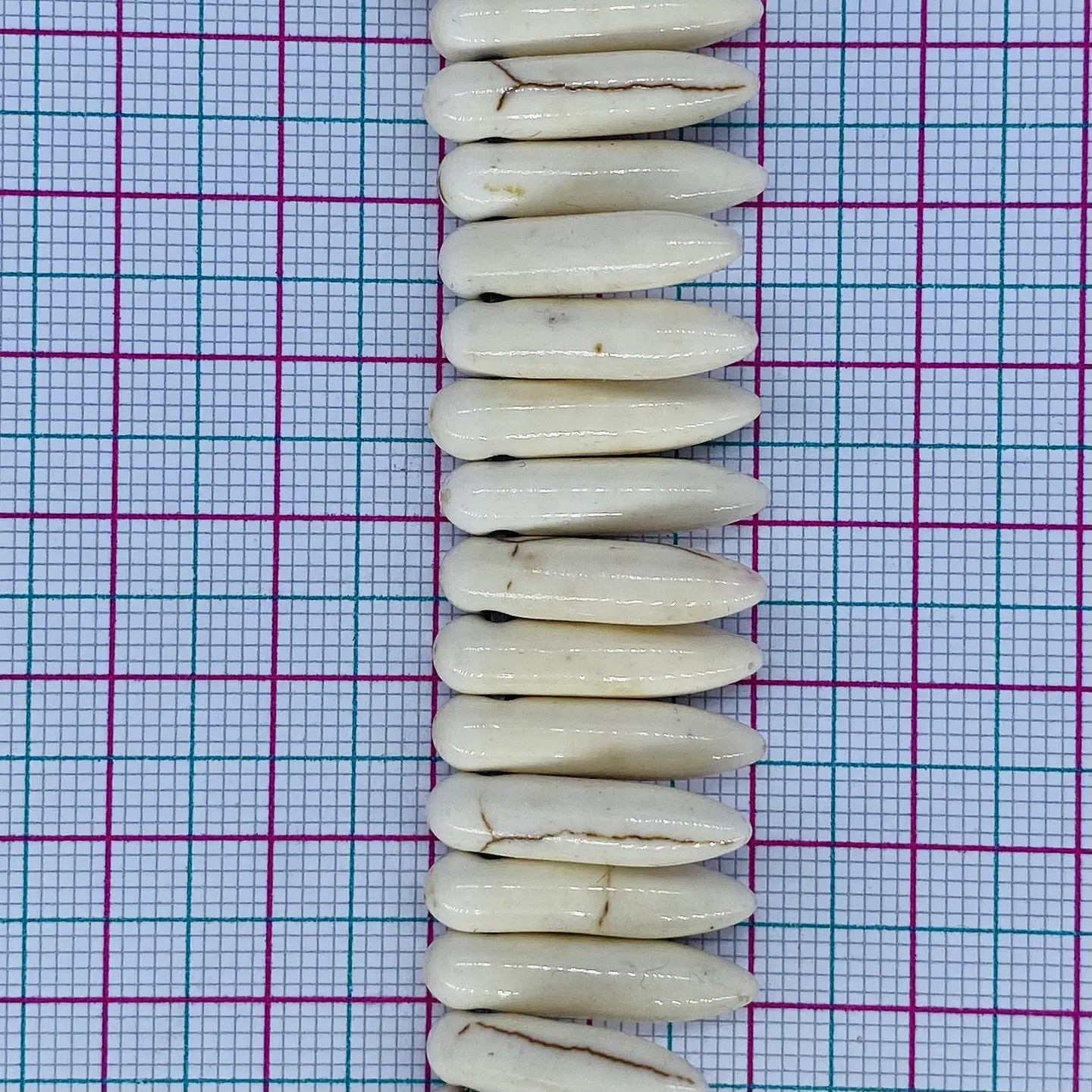 Dije Colmillo Pequeño • Fósil • 5x20 mm 2