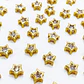 Pasador Estrella Circón • Baño de Oro • 10x10 mm - Miniatura 1