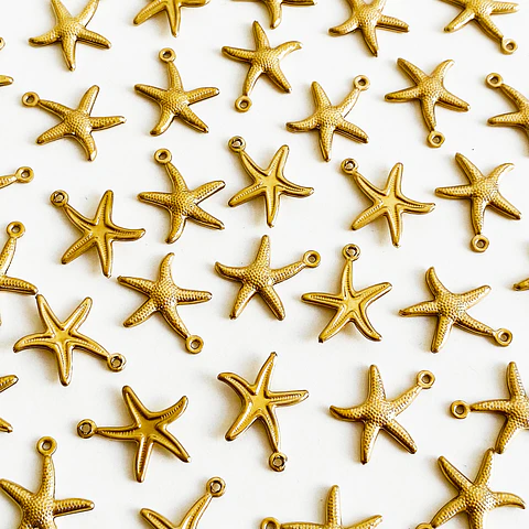 Dije Estrella de Mar Chica • Acero • 15x20 mm