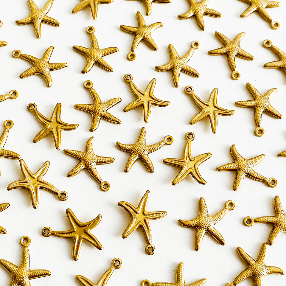 Dije Estrella de Mar Chica • Acero • 15x20 mm 1