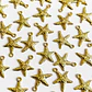 Dije Estrella de Mar Texturizada • Cover Gold • 20x25 mm - Miniatura 1
