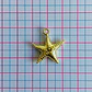 Dije Estrella de Mar Punteada • Cover Gold • 21x24 mm - thumbnail 2