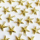 Dije Estrella de Mar Punteada • Cover Gold • 21x24 mm - thumbnail 1