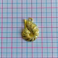 Dije Caracol Marino de Nautilo • Cover Gold • 17x24 mm - Miniatura 2