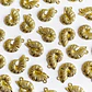 Dije Caracol Marino de Nautilo • Cover Gold • 17x24 mm - Miniatura 1