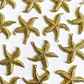 Dije Estrella de Mar Grande • Cover Gold • 45x50 mm - thumbnail 1
