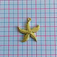 Dije Estrella de Mar Texturizada • Cover Gold • 22x26 mm - Miniatura 2