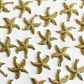 Dije Estrella de Mar Texturizada • Cover Gold • 22x26 mm - Miniatura 1