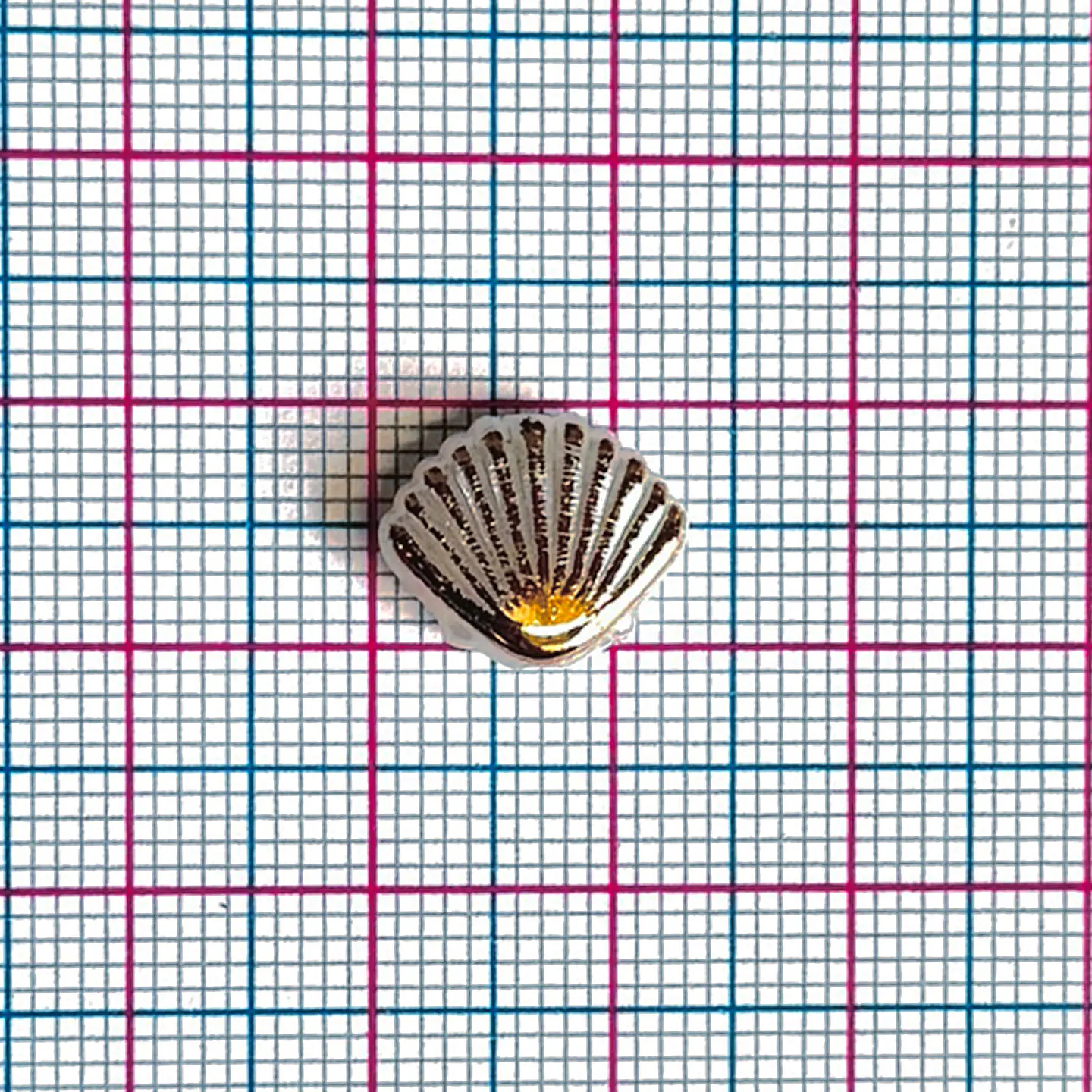 Separador Concha de Mar • Plástica • 13x11 mm 2