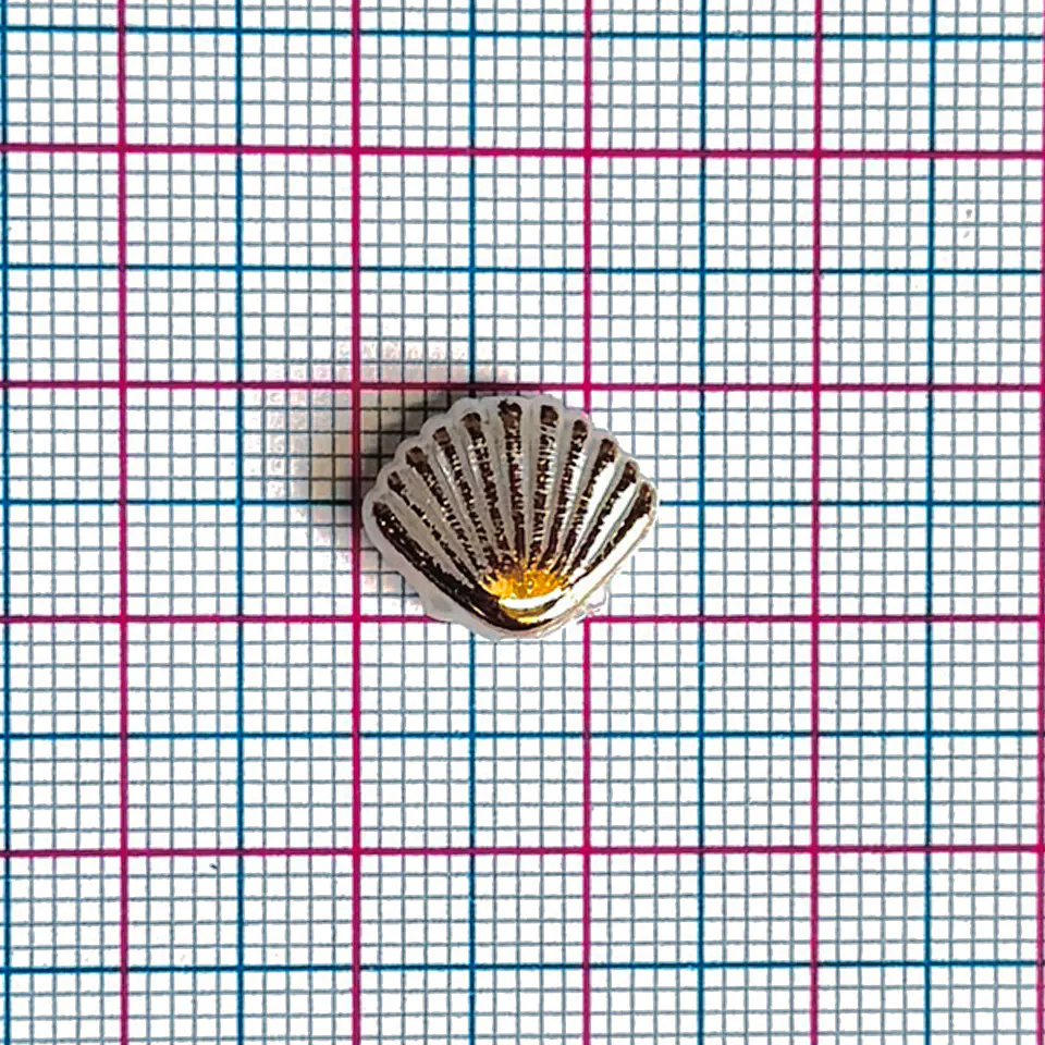 Separador Concha de Mar • Plástica • 13x11 mm 2