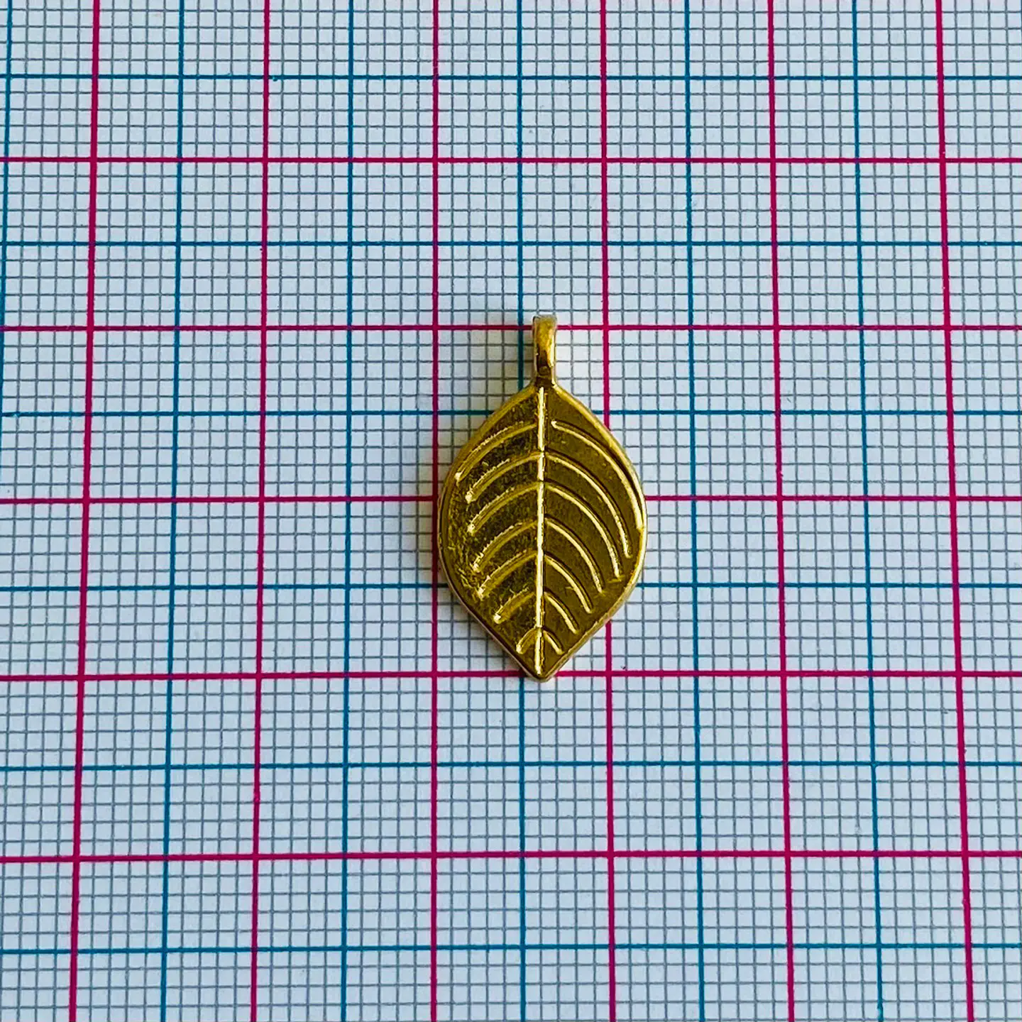 Dije Hoja con Nervaduras • 12x20 mm 2