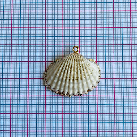 Dije de Concha Marina • Nácar • 26x26 mm