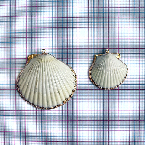 Dije de Concha de Abanico • Nácar • 45x45 mm