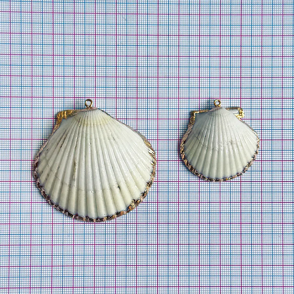 Dije de Concha de Abanico • Nácar • 45x45 mm 2