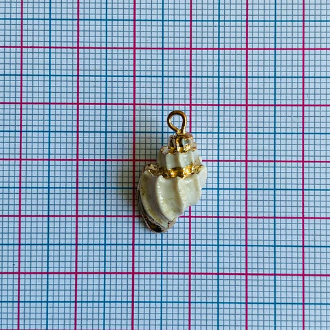 Dije de Caracol Turritella • Nácar • 12x22 mm