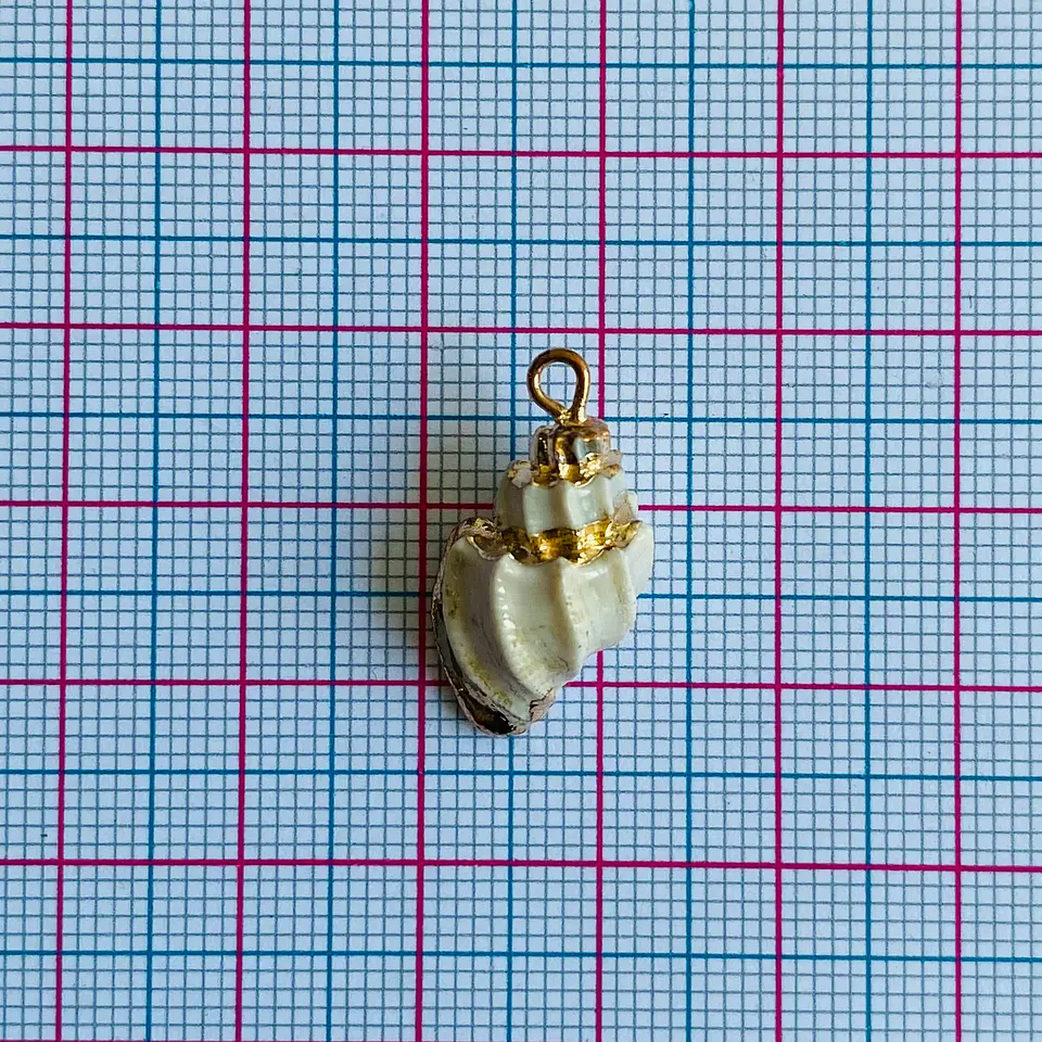 Dije de Caracol Turritella • Nácar • 12x22 mm 2