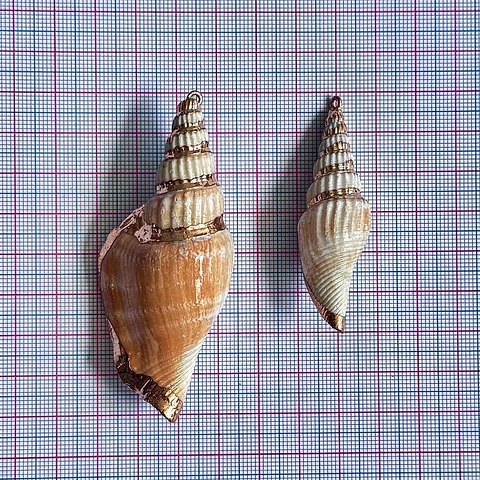 Dije Gran Caracol Marino • Nácar • Irregular